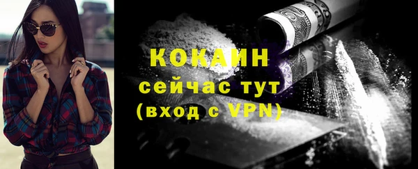 тгк Семёнов